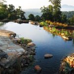 eco friendly pool