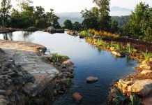 eco friendly pool